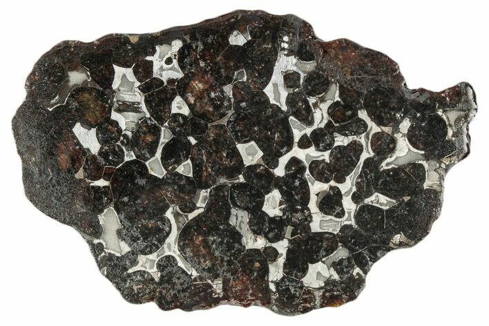 Sericho Pallasite Meteorite ( g) Slice - Kenya #346474